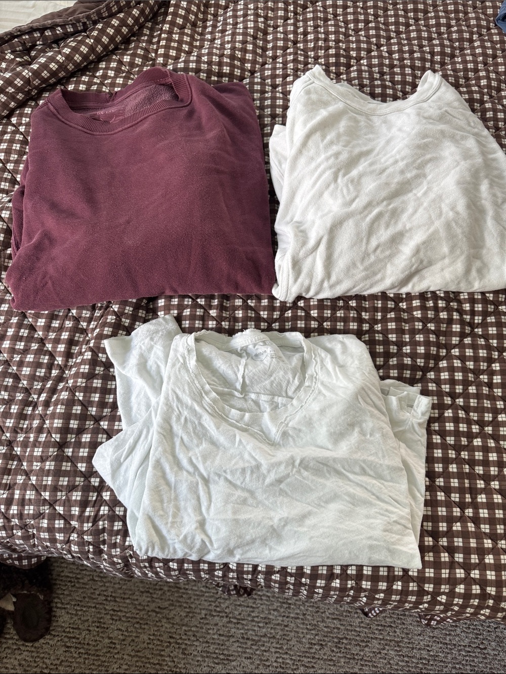Aerie Crewneck Sweatshirt Bundle with Tee